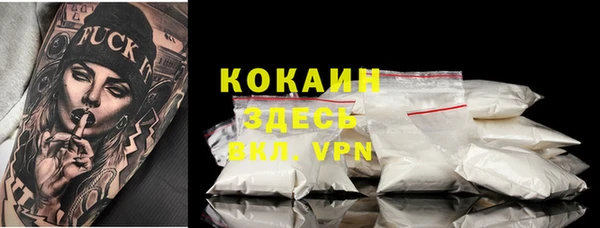тгк Алексин