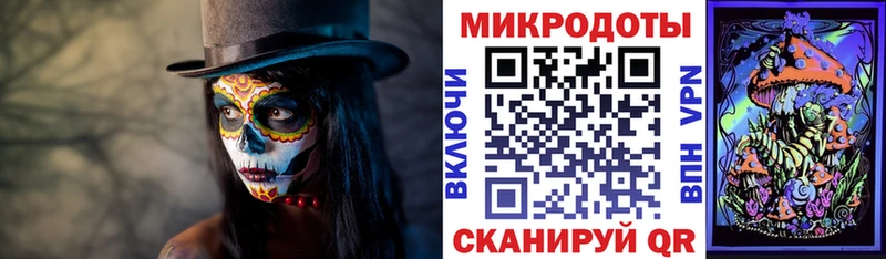 Псилоцибиновые грибы Psilocybe Нижний Тагил