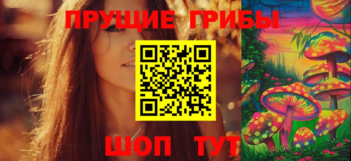 Псилоцибиновые грибы Psilocybe Нижний Тагил